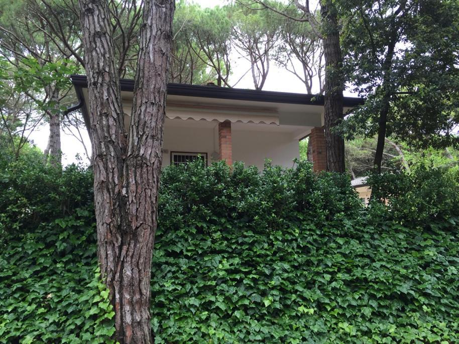 Villaggio Arco Eraclea Mare Kültér fotó